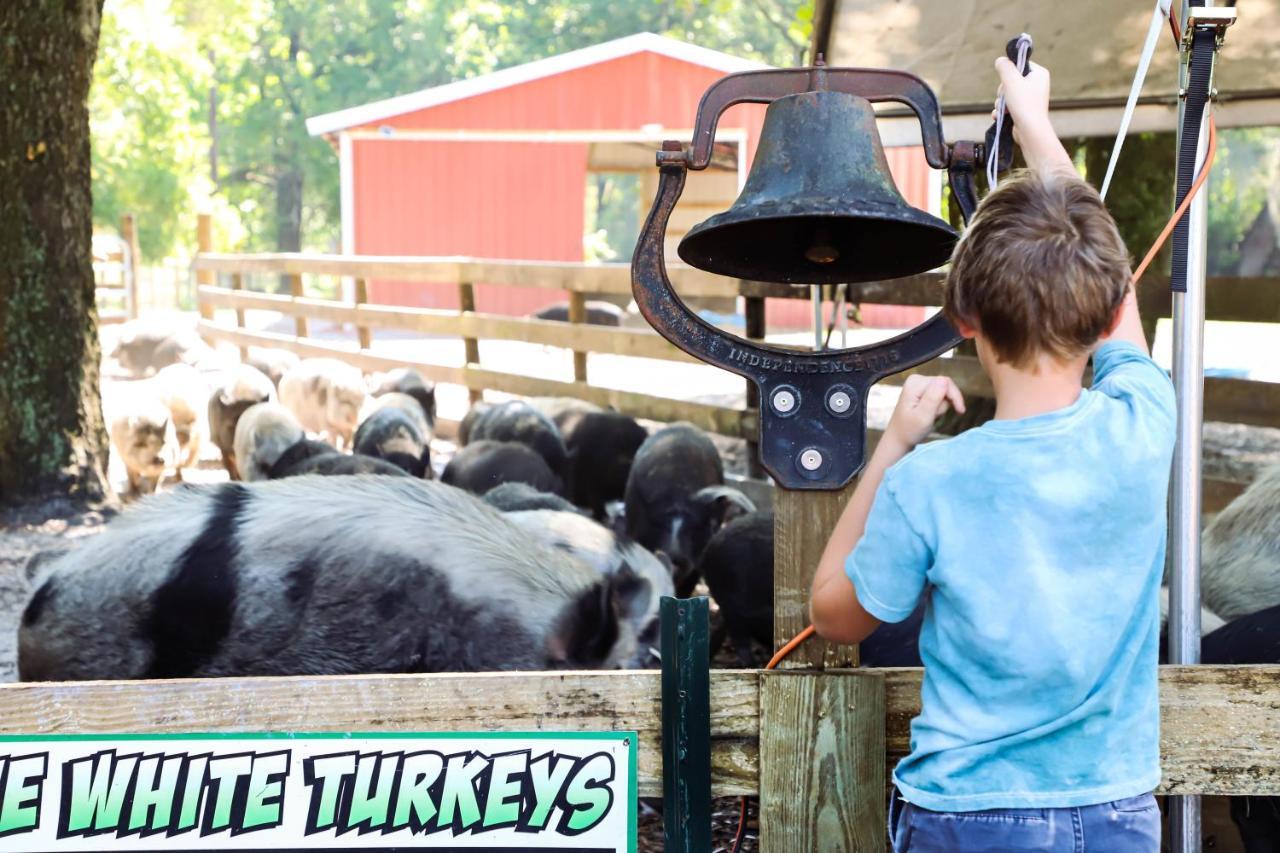 Rooterville Animal Sanctuary Melrose Esterno foto