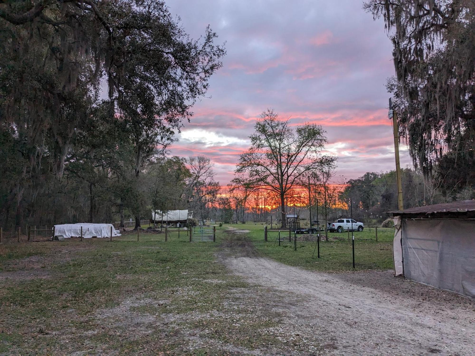 Rooterville Animal Sanctuary Melrose Esterno foto